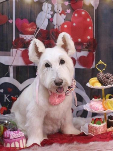 20250209ムーミンくん